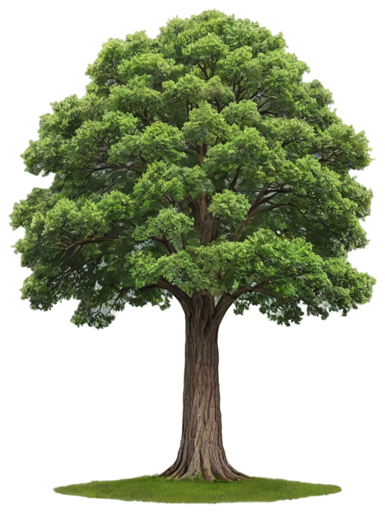 a big tree - icon | sticker