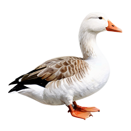 domestic goose, paint style - icon | sticker