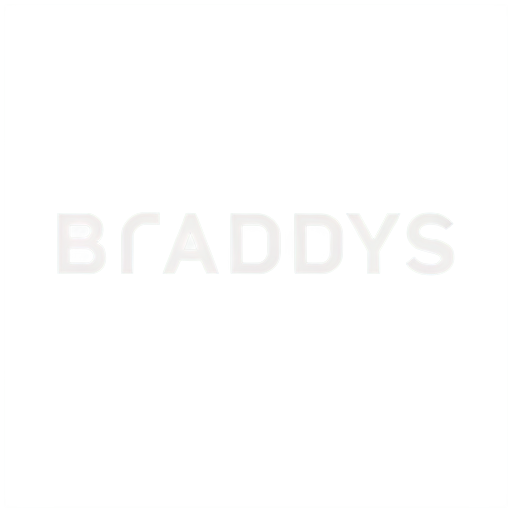 logo for brand named "Brandsys" which is DePromo system for branding & AD & management - icon | sticker