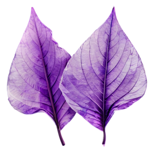 three purple leaves from a tree folded like banknotes - icon | sticker