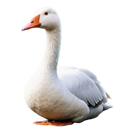 white goose show heart - icon | sticker