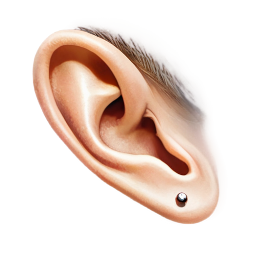 artistic style ear - icon | sticker