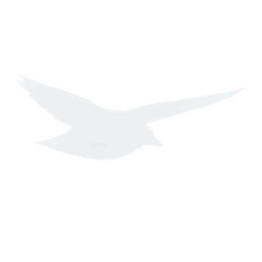 bird on a plane - icon | sticker