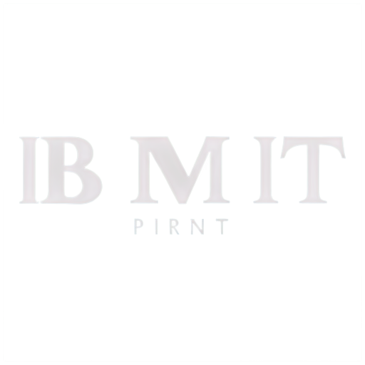 create a logo for a printing publishing company called “BIMBAprint” - icon | sticker