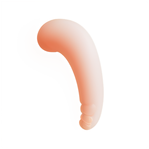 intestine, vector style - icon | sticker