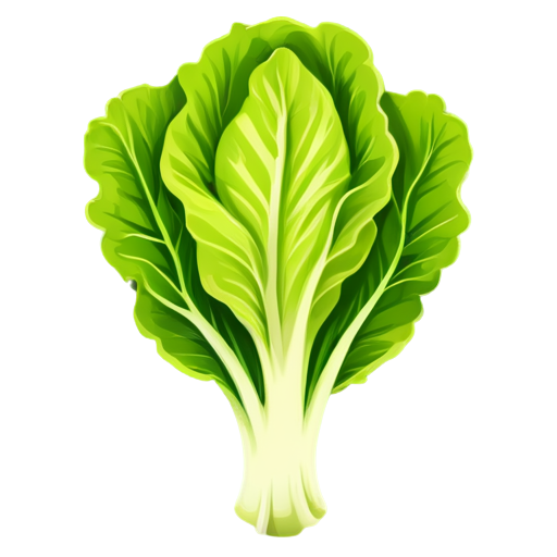 lettuce round icon - icon | sticker